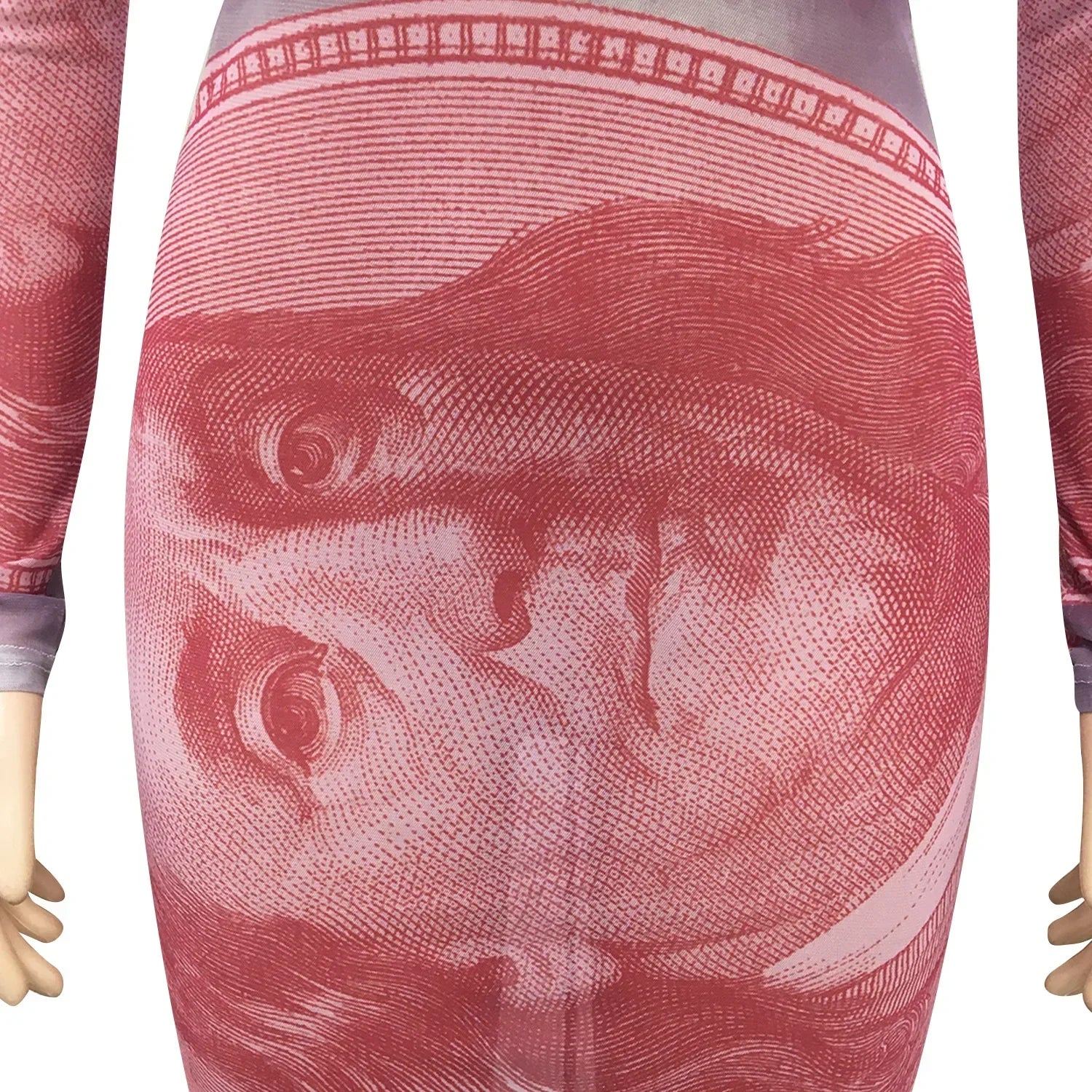 Sexy Mesh Perspective Printed Dress