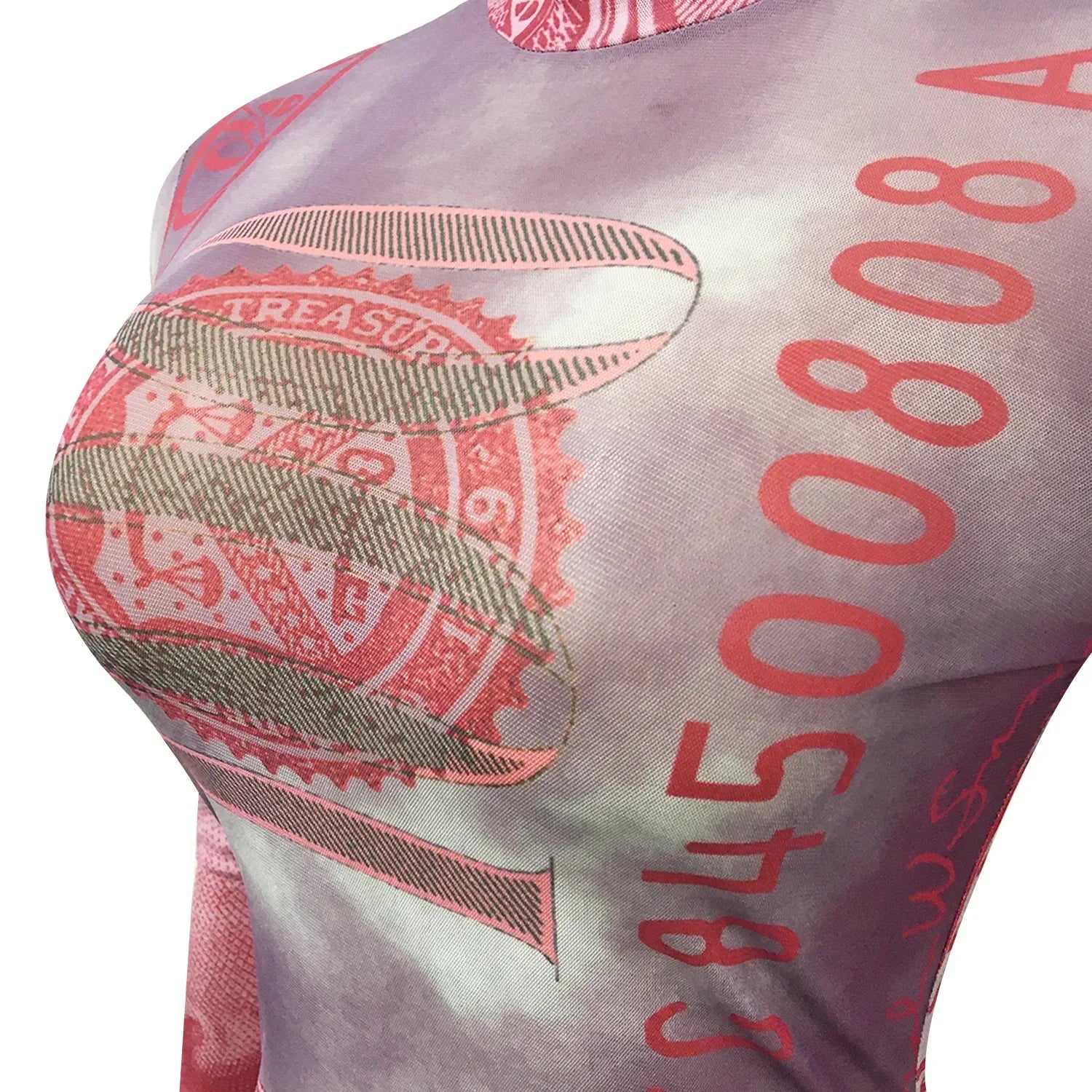 Sexy Mesh Perspective Printed Dress