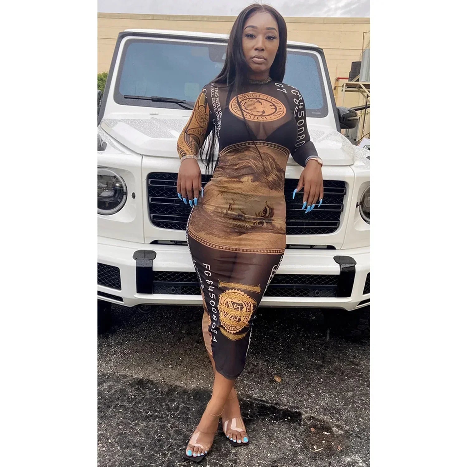 Sexy Mesh Perspective Printed Dress