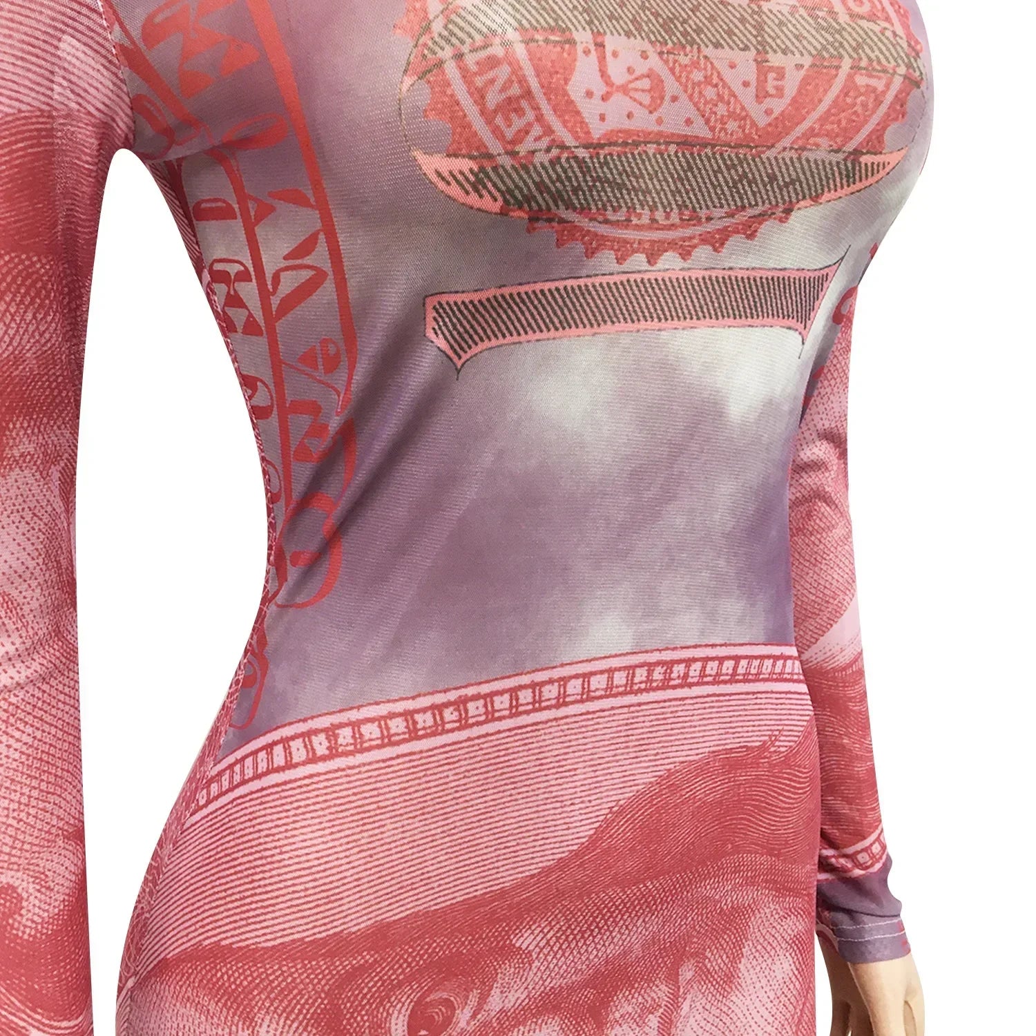 Sexy Mesh Perspective Printed Dress